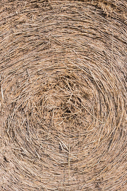 straw background stock photo