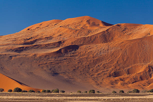 istock sand dune in the namib desert 465800468