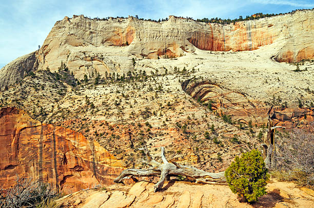 penhascos de arenito no deserto sudoeste - red rocks rock canyon escarpment imagens e fotografias de stock