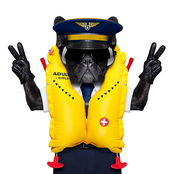 キャプテン飛行機のコックピットの犬 - life jacket safety isolated sea ストックフォトと画像