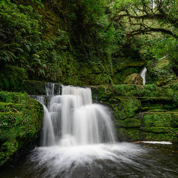 Mclean Falls In Catlins Conservation Park, New Zealand's South Island.