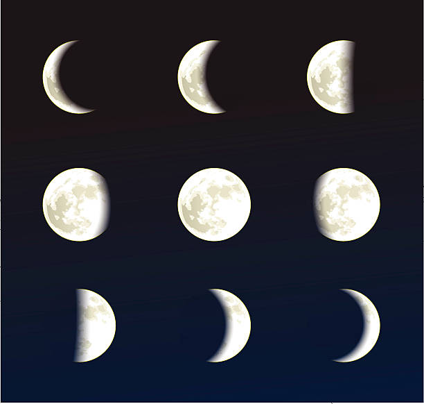 mond phasen vektor-illustration - mondoberfläche stock-grafiken, -clipart, -cartoons und -symbole