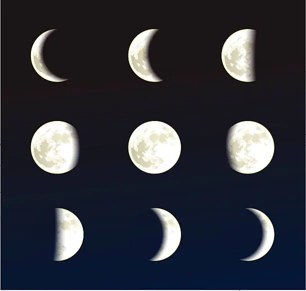 Vector illustration of Illustrations of the phases of the moon 