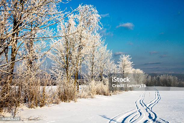 Maine Winter Stock Photo - Download Image Now - Maine, Snowmobiling, Cold Temperature