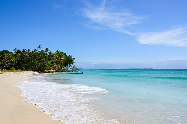 xxxl: praia de areia branca em uma ilha tropical - bocas del toro imagens e fotografias de stock