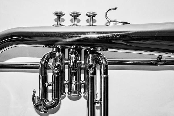 플뤼겔호른 클로즈업 on 밸브 - jazz music trumpet valve 뉴스 사진 이미지