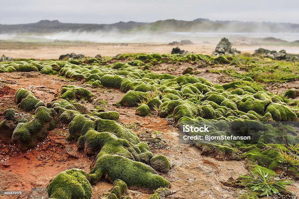 Campo de energia geotérmica de Gunnuhver, de Reykjanes, Islândia - Royalty-free Ao Ar Livre Foto de stock