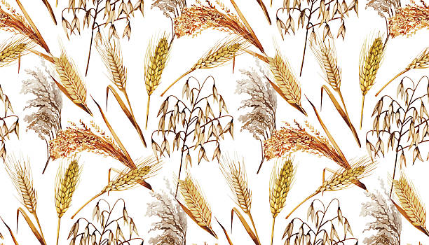 워터컬러 시리얼 패턴 - oat farm grass barley stock illustrations