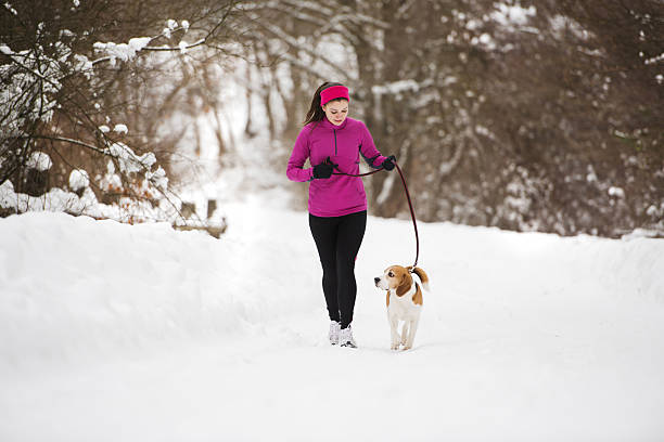 winter laufen frau - snow dog walking running stock-fotos und bilder
