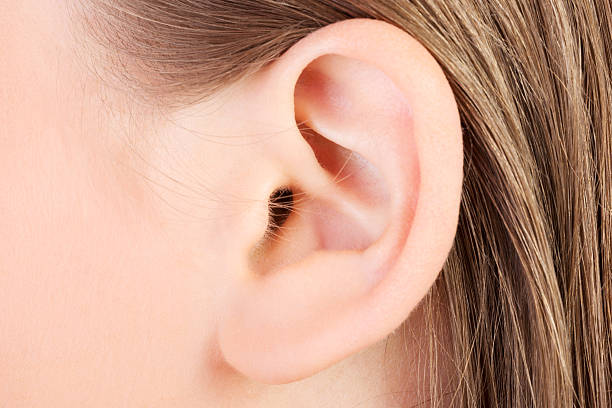 Close-up of a human ear of a person with blond hair stock photo