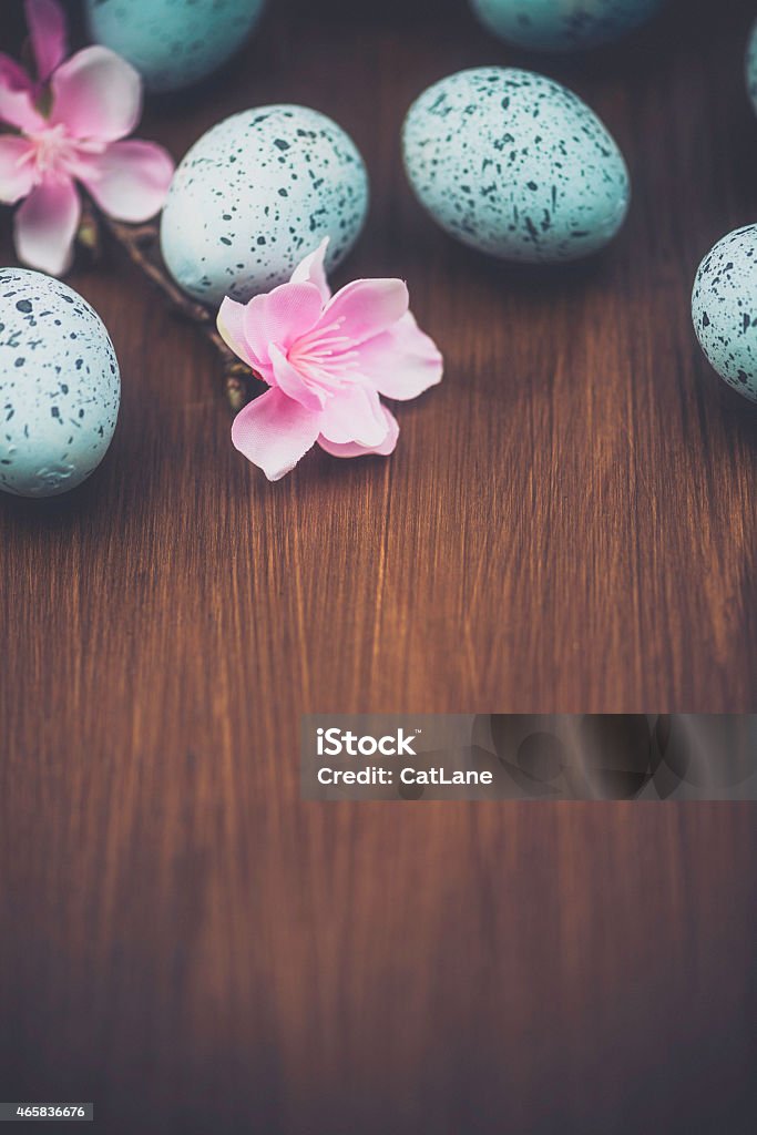 Rustic Easter background with speckled eggs and blossoms. Wood background. 2015 Stock Photo