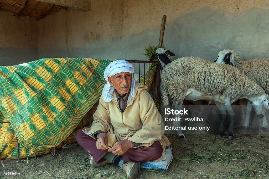 Man sells sheep on animal market Erfoud, Morocco, North Africa Erfoud, Morocco - April 6, 2014: Man sells sheep on animal market Erfoud Morocco North Africa Morocco Stock Photo