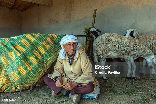 Man Sells Sheep On Animal Market Erfoud Morocco North Africa Stock Photo - Download Image Now