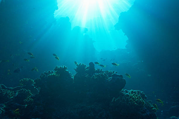 istock Underwater view on the sun rise 465837671