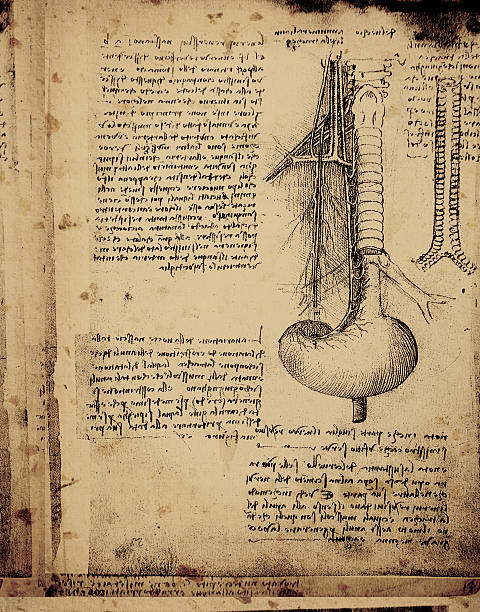 구조 예술직 - leonardo da vinci 뉴스 사진 이미지