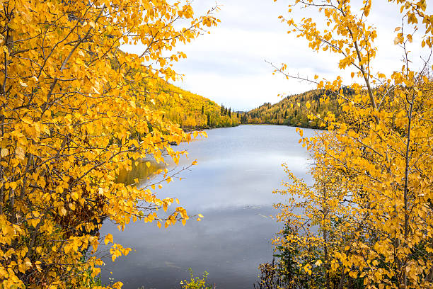 istock Alaska Autumn - Lake View 465840474
