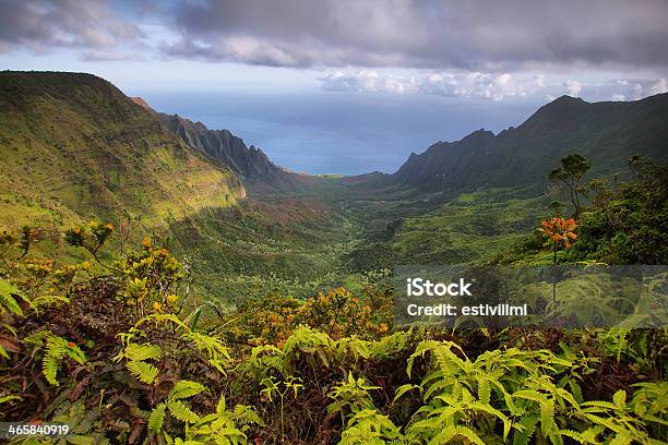 Majestic Views Of Napali Coast From Kalalau Lookout Stock Photo - Download Image Now