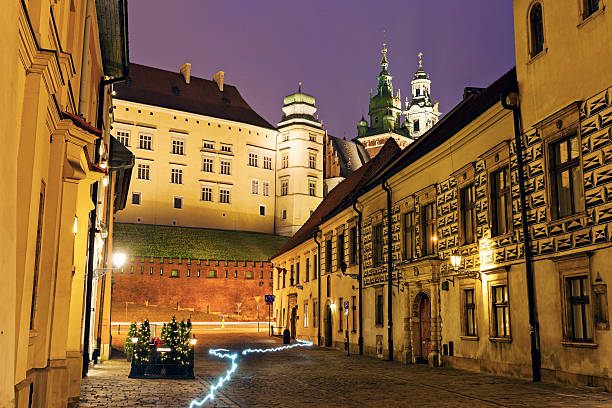 istock Kanonicza Street in Krakow 465841880