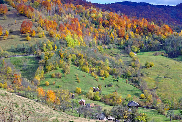 istock Meadow and forest in autumn. 465842235
