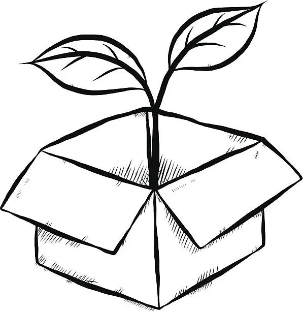 Vector illustration of plant in paper box