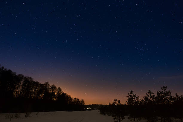 istock Trees on a background of the night starry sky 465843450