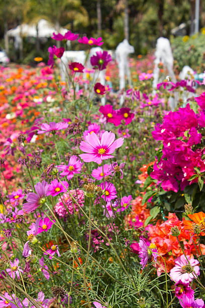 istock Colorful flower garden 465845188