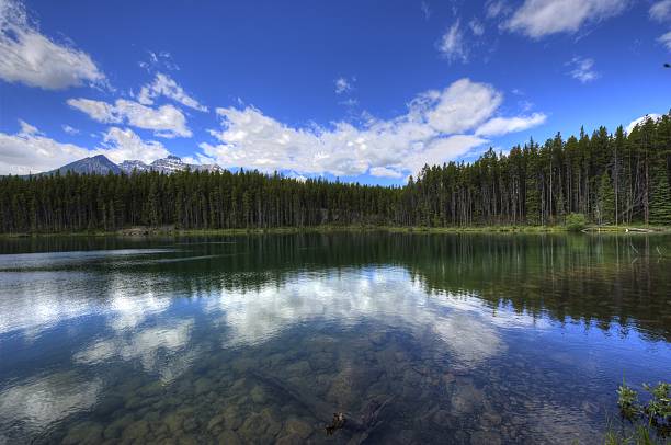 istock Rocky Mountains, British Columbia, Canada. 465845722
