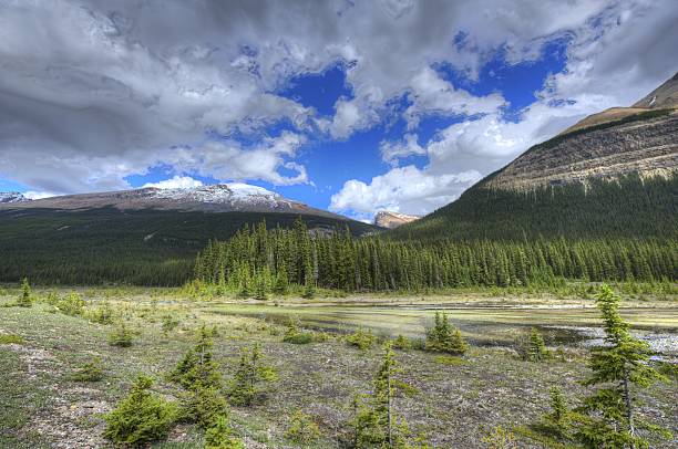 istock Rocky Mountains, British Columbia, Canada. 465846360