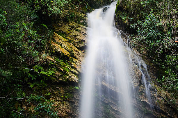 The long exposure technique presents the waterfalls and streams in Taiwan's mountains and forests. The water flows as smoothly as silk, flowing through wet rocks and moss, full of poetry and coolness.