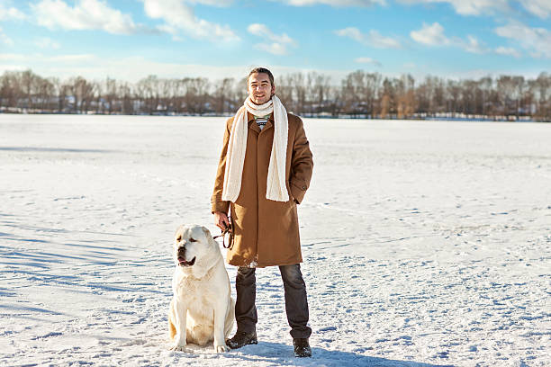 istock Man and central Asian shepherd walk in the park 465849247