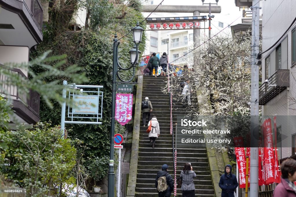 Sakura season Tokyo, Japan - March 8, 2015: People visiting the Yushima Shrine to look at plum and cherry blossoms. 2015 Stock Photo