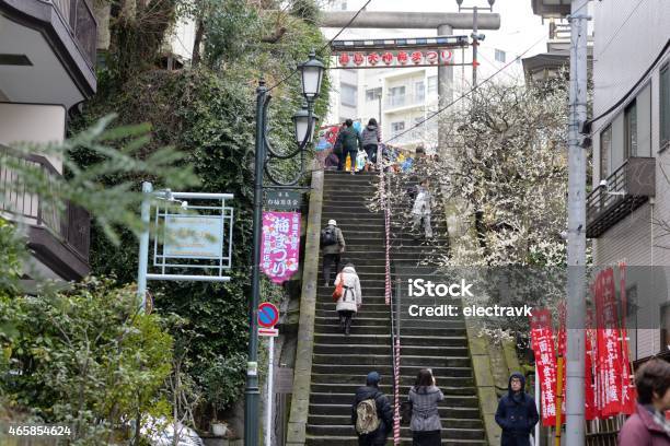 Sakura Season Stock Photo - Download Image Now - 2015, Asia, Asian Culture