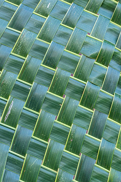 Coconut leaf weave pattern. Coconut leaf weave pattern use for background. Abstract background. interlace format stock pictures, royalty-free photos & images