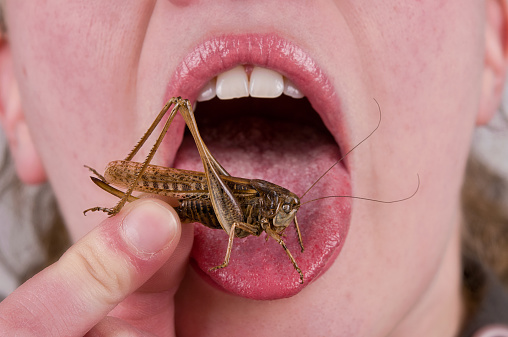 Woman eating insects with a fork in a restaurant