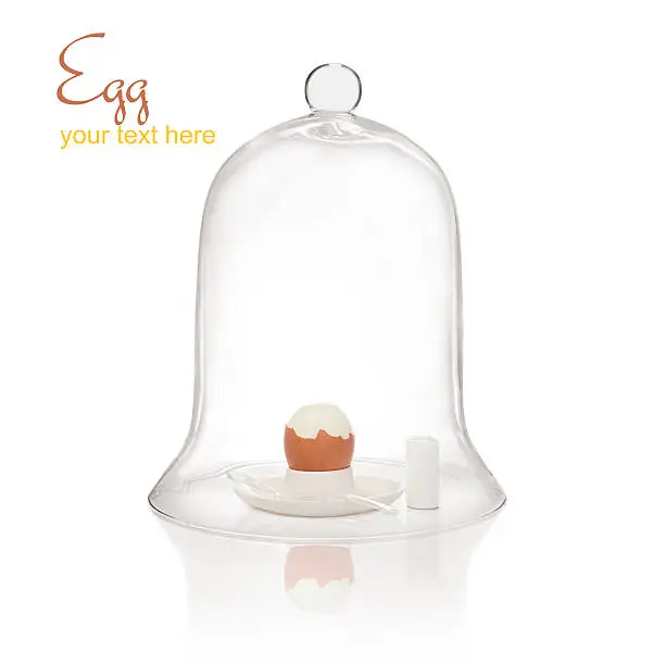 Egg under bell jar