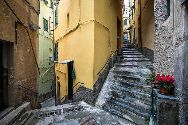 istock Alleys of Vernazza 465860050