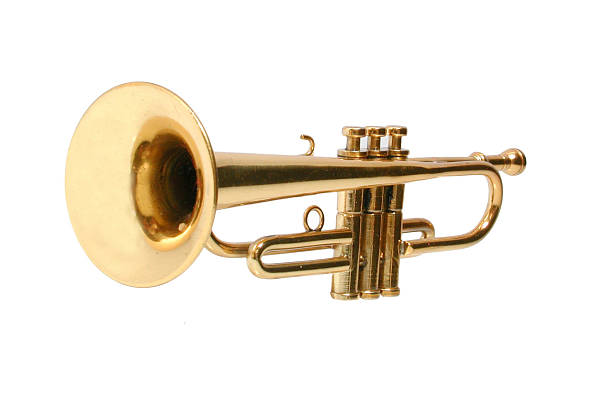 terompet - trompet potret stok, foto, & gambar bebas royalti