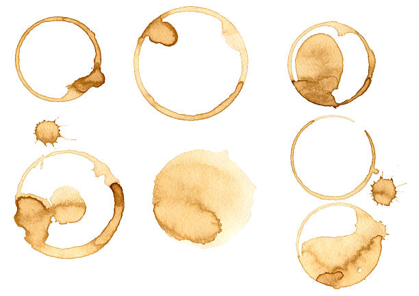 Coffee Stain Coffee Stain, Isolated On White Background.  Collection of circle various  coffee stains isolated on white background camellia photos stock pictures, royalty-free photos & images