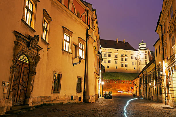 istock Kanonicza Street in Krakow 465861374