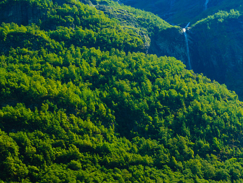 Summer mountain beautiful waterfall in Norway fjords  Europe