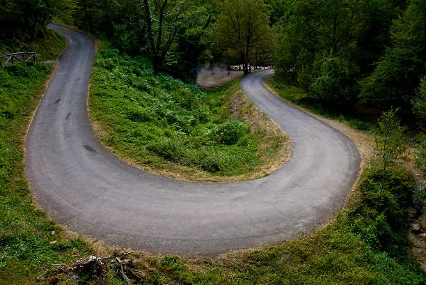 Photo of U-hairpin bend in the woods