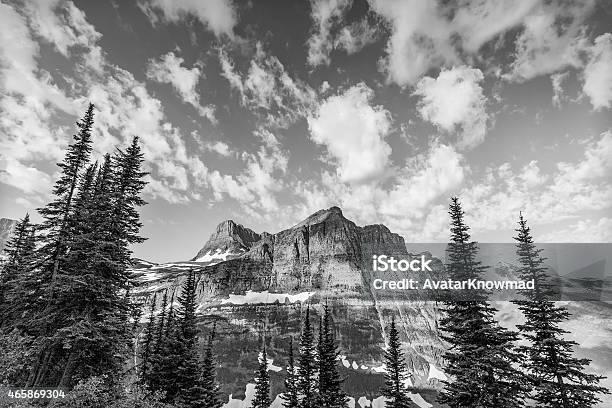 A View Of A Sweeping Mountain Behind Large Pine Trees Stock Photo - Download Image Now
