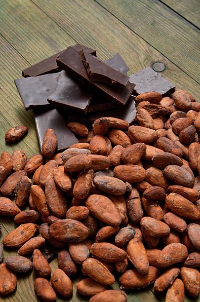 istock Chocolate and organic cocoa beans 465869820