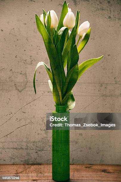 White Tulips With Grunge Texture Effect Stock Photo - Download Image Now - 2015, Auto Post Production Filter, Beauty