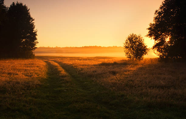 istock Beautiful sunsrise on foggy meadow 465874270