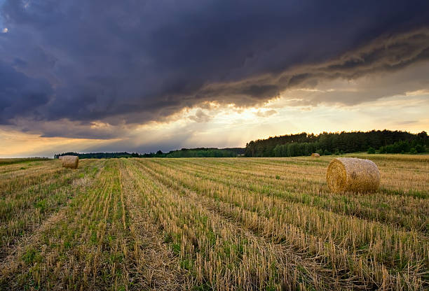istock Straw bale at sunset with beautiful stormy sky 465874288