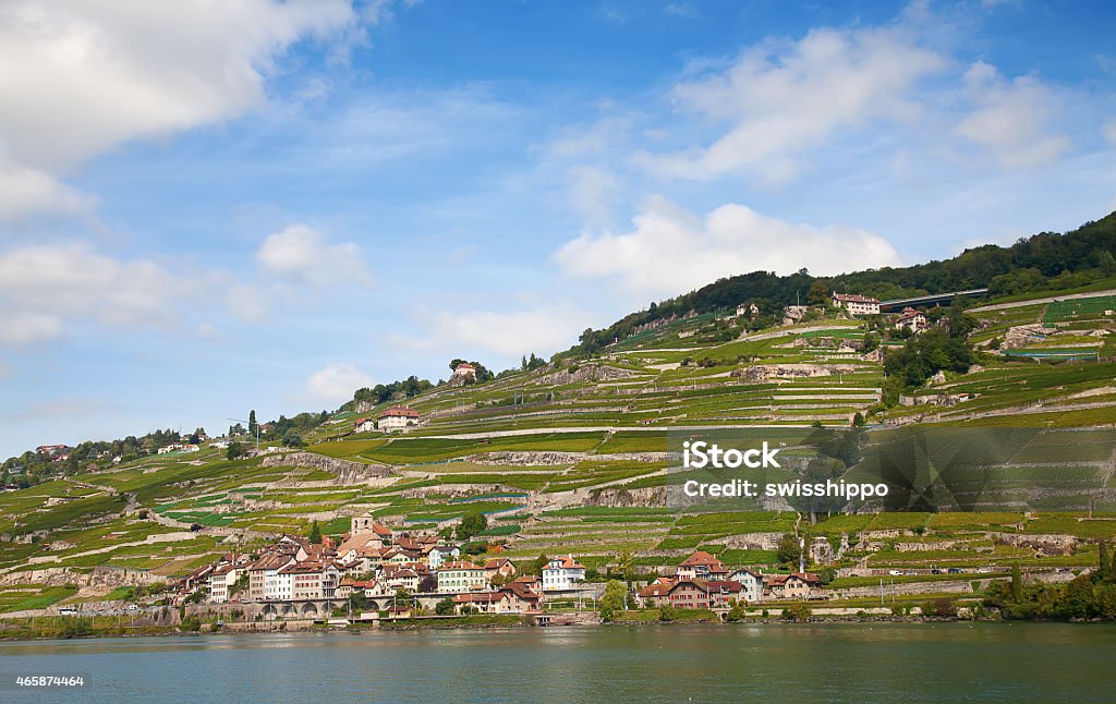 Lavaux region Vineyards of the Lavaux region near historical St. Saphorin village 2015 Stock Photo