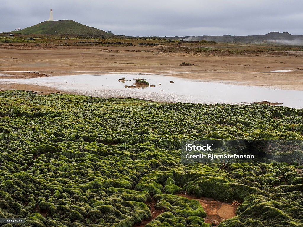 Campo de energia geotérmica de Gunnuhver, de Reykjanes, Islândia - Royalty-free Ao Ar Livre Foto de stock