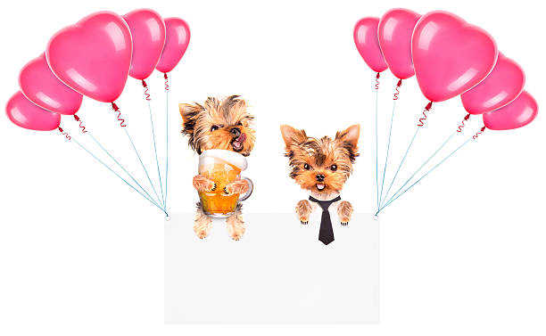istock Holiday banners with balloons and dog 465877629