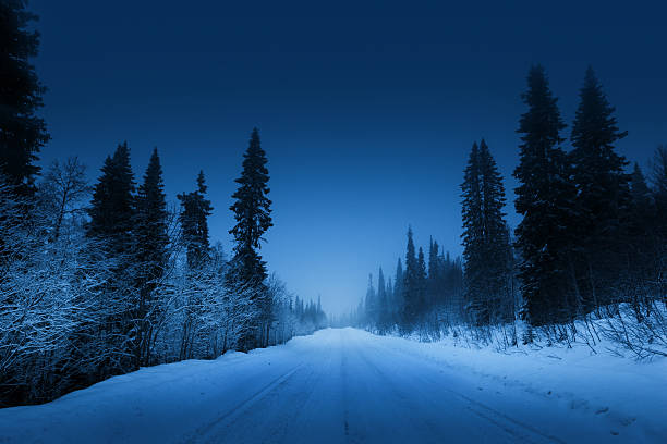 Photo of night road in winter forest